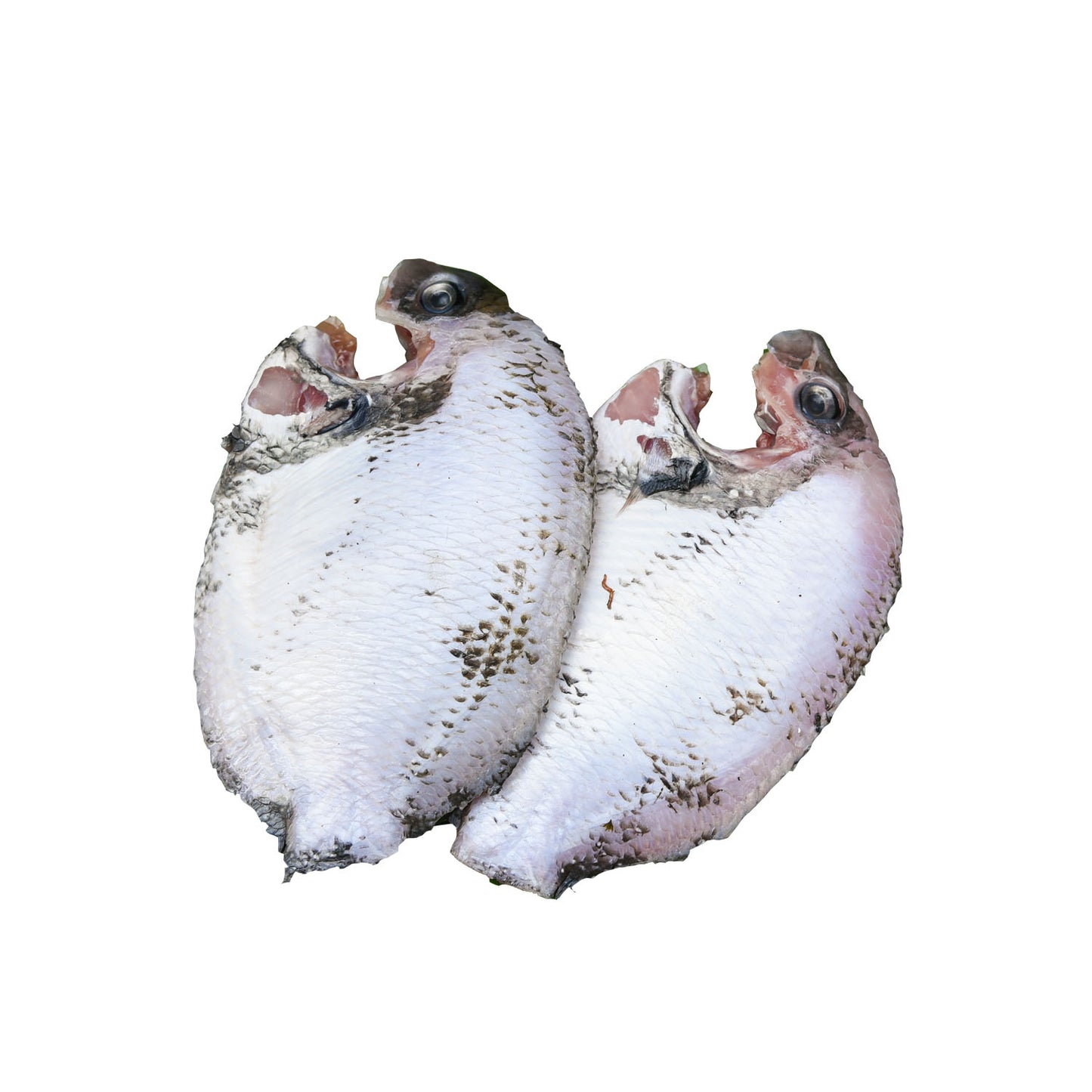 CLEANED PEARL SPOT (കരിമീൻ) 1KG